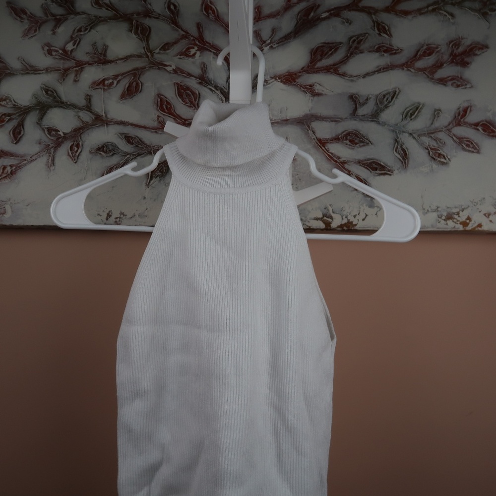 Zara Turtleneck Tank
